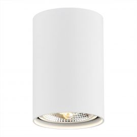 Plafoniere cu spoturi, Spoturi aplicate - Spot aplicat design modern TUBO alb 12cm