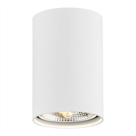 Plafoniere cu spoturi, Spoturi aplicate - Spot aplicat design modern TUBO alb 12cm