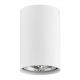 Plafoniere cu spoturi, Spoturi aplicate - Spot aplicat design modern TUBO alb 12cm