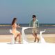 Scaune Bar - Scaun de bar exterior / interior design modern premium WING BAR STOOL