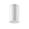 Spot aplicat, plafoniera pentru iluminat exterior, IP54 Heral alb