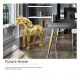 Statuete - Figurina cal design decorativ Future Horse