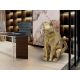 Statuete - Figurina pisica design decorativ Future Cat