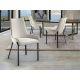 Scaune - Scaun dining design elegant Diane