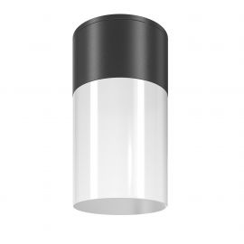 Spoturi - Spot aplicat, plafoniera pentru iluminat exterior IP54 Willis negru