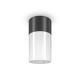 Spoturi - Spot aplicat, plafoniera pentru iluminat exterior IP54 Willis negru