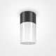 Spoturi - Spot aplicat, plafoniera pentru iluminat exterior IP54 Willis negru