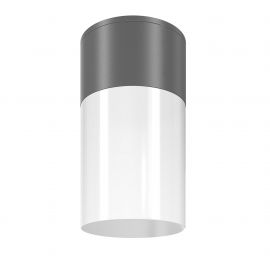 Spoturi - Spot aplicat, plafoniera pentru iluminat exterior IP54 Willis gri