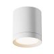 Plafoniere cu spoturi, Spoturi aplicate - Spot aplicat design tehnic Hoop alb