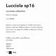 Pendule, Lustre suspendate - Lustra LED design minimalist Lucciola sp16 negru