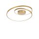 Lustre aplicate - Lustra / Plafoniera LED design modern circular OZ PL dali alama