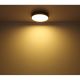 Plafoniere - Plafoniera LED cu aspect lemn design slim DORO 30cm, 12W