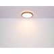 Plafoniere - Plafoniera LED cu aspect lemn design modern Bruno maro 30,7cm 12W