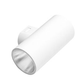 Aplice - Aplica LED pentru iluminat exterior IP65 ROLAND 2 WH