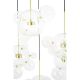 Pendule, Lustre suspendate - Lustra cu 5 pendule LED design modern Boliccine