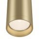 Plafoniere cu spoturi, Spoturi aplicate - Spot aplicat design modern Focus auriu mat