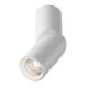 Plafoniere cu spoturi, Spoturi aplicate - Spot LED aplicat directionabil design tehnic Dafne alb 4000K