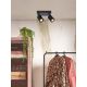 Plafoniere - Plafoniera eco din bambus Java/2xGU10, black