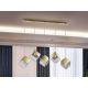 Pendule, Lustre suspendate - Lustra moderna cu 5 Pendule design decorativ Priscila aurie