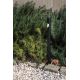 Stalpi - Stalp LED modern iluminat exterior ambiental IP65 BEZEL 60cm