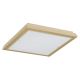 Plafoniere - Plafoniera design modern Caserta auriu 42x42cm