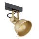 Candelabre, Lustre - Lustra cu 4 spoturi directionabile design modern Lenora auriu, negru