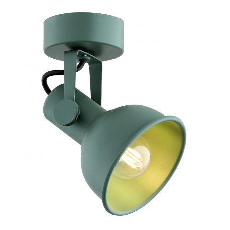 Aplice, corpuri de iluminat pentru pereti - Aplica de perete / tavan cu spot directionabil design modern Lenora verde