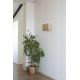 Aplice, corpuri de iluminat pentru pereti - Aplica de perete ambientala design natural OTTON RCT iuta 2L