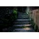 Stalpi - Stalp LED exterior cu proiector directionabil IP65 SPY 43,5cm