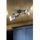 Lustre aplicate - Lustra aplicata cu flori ceramice in stilul clasic Florentin PISA 2L