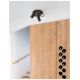 Corpuri de iluminat - Plafoniera design modern TOD negru 22cm