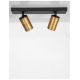 Plafoniere cu spoturi, Spoturi aplicate - Plafoniera 2L design modern Inus negru, auriu satin