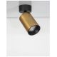 Aplice cu Spot - Aplica de perete / tavan design modern Inus negru, auriu satin