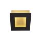 Aplice, corpuri de iluminat pentru pereti - Aplica de perete LED design ambiental DALIA 18x18cm, negru/ auriu