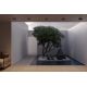 Plafoniere - Plafoniera pentru iluminat exterior design modern IP54 Ares grafit
