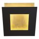 Aplice, corpuri de iluminat pentru pereti - Aplica de perete LED design ambiental DALIA 40x40cm, negru/ auriu