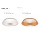 Plafoniere - Plafoniera LED Smart dimabila cu telecomanda HIMALAYA 80W lemn
