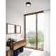 Iluminat inteligent - Aplica LED perete/ tavan exterior cu protectie IP54 Ava Smart Black
