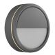 Iluminat inteligent - Aplica LED perete/ tavan exterior cu protectie IP54 Ava Smart Grey