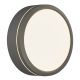 Iluminat inteligent - Aplica LED perete/ tavan exterior cu protectie IP54 Ava Smart Grey