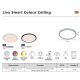 Iluminat inteligent - Plafoniera LED RGB CCT, IP54 Liva Smart negru, 36cm
