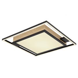 Plafoniere - Plafoniera LED cu telecomanda design indistrial Jorry negru