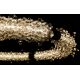 Candelabre, Lustre - Lustra LED LUX moderna design circular D65 GLACEE 01