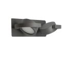 Aplica de perete orientabila iluminat exterior IP54 IGUAZU 2L gri