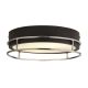 Iluminat pentru baie - Plafoniera pentru baie cu protectie IP44 Phoenix 2Lt