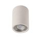 Spoturi - Spot aplicat tavan iluminat exterior IP65 LEVI alb