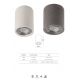 Spoturi - Spot aplicat tavan iluminat exterior IP65 LEVI gri inchis