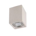 Spot aplicat tavan iluminat exterior IP65 LEVI alb