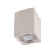 Spoturi - Spot aplicat tavan iluminat exterior IP65 LEVI alb