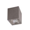 Spot aplicat tavan iluminat exterior IP65 LEVI gri inchis